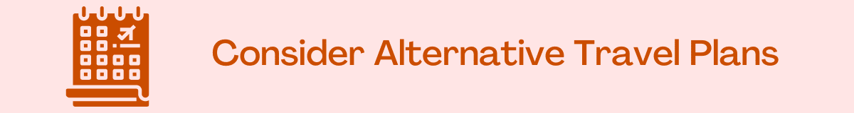 Consider Alternative Travel Plans