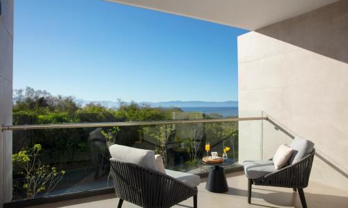 Dreams Bahia Mita - Junior Suite Tropical View3