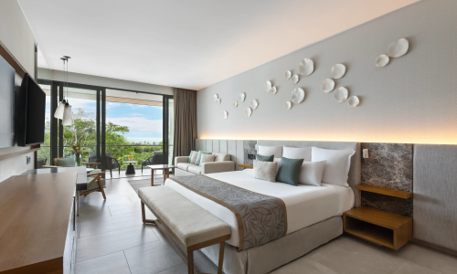 Dreams Bahia Mita - Junior Suite Waterpark View1