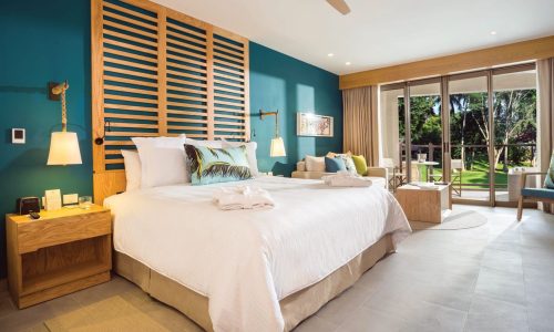 Dreams Natura - Junior Suite Tropical View1