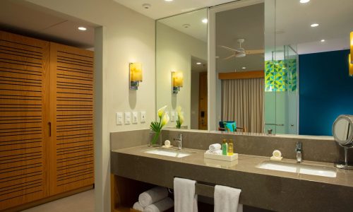 Dreams Natura - Junior Suite Tropical View4